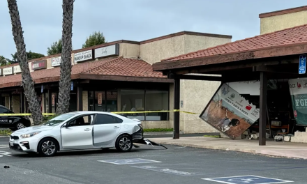Cae banda que robó más de 300 armas en tiendas de California