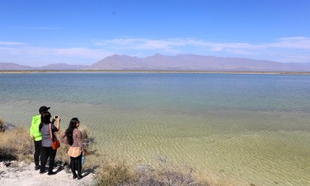 Turismo, opción para el desarrollo de la región Centro