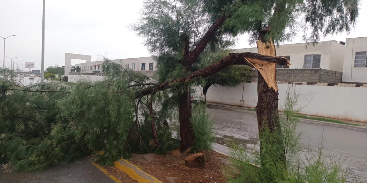 Ayuntamiento de Torreón incrementa recorridos de vigilancia