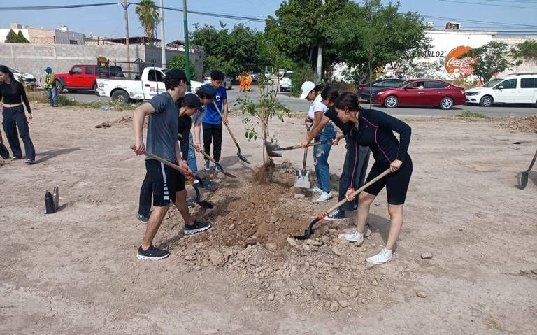 Reforestan espacios públicos con 12 mil 400 plantas
