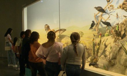 Invitan a visitar el Museo de las Aves estas vacaciones