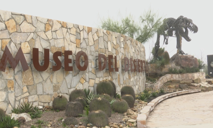 Invitan a visitar los museos de Coahuila estas vacaciones de verano