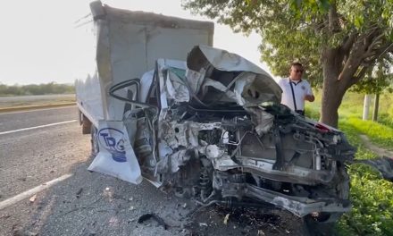 Cansancio lo vence  y choca contra un árbol en Saltillo
