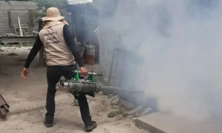 Mantienen fumigaciones para evitar el dengue en la región Carbonífera
