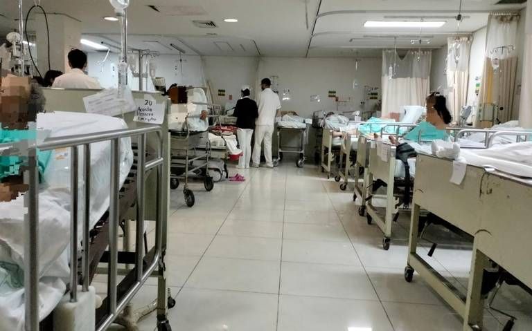 IMSS prepara segunda etapa del programa ELSSA
