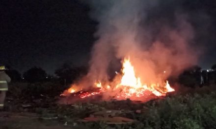Fogata de vago se salió de control y bomberos de Saltillo intervienen para controlar el siniestro
