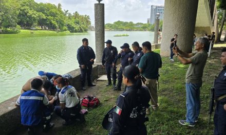 Video: Joven se lanza a una laguna con cocodrilos en Tabasco