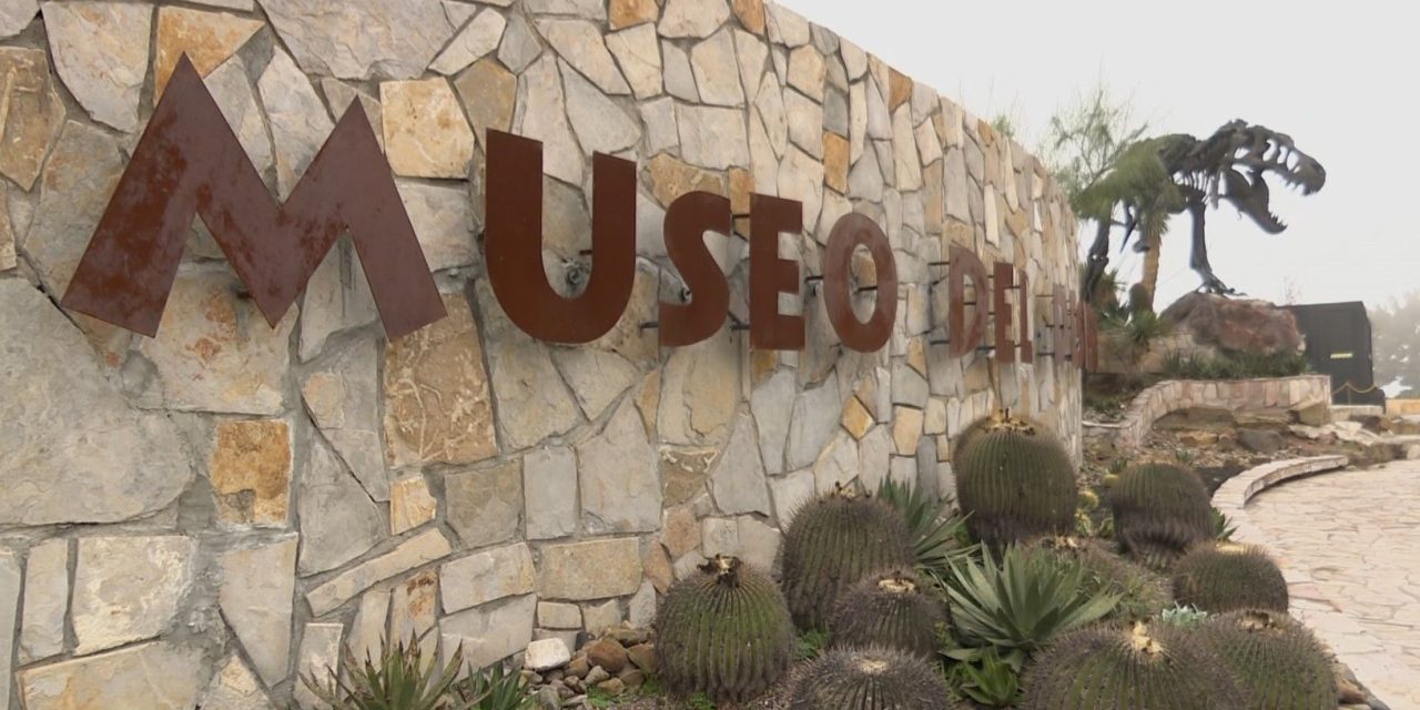 Museo del Desierto invita a sus cursos de verano