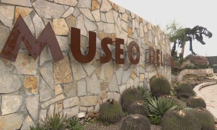 Museo del Desierto invita a sus cursos de verano