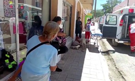 Perrito protege a su dueño de paramédicos y oficiales en Parras