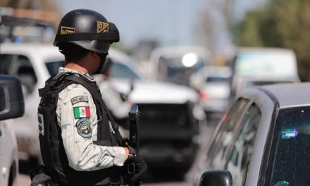 La inseguridad, principal preocupación en México, según encuesta de la OCDE