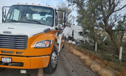 Tráiler se impacta en un árbol en carretera Saltillo Torreón