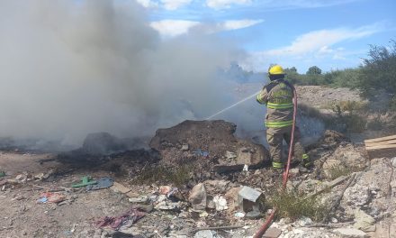 Atienden 55 reportes de incendio en una semana en Torreón