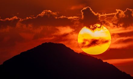 Julio 2024 marcó el fin de una racha de 13 meses de calor extremo a nivel mundial