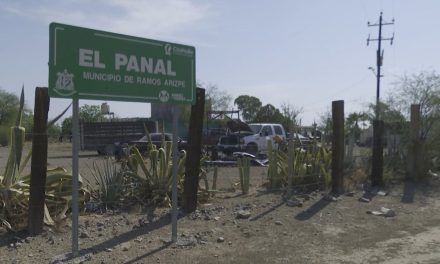 CFE es el principal verdugo del campo, acusan productores