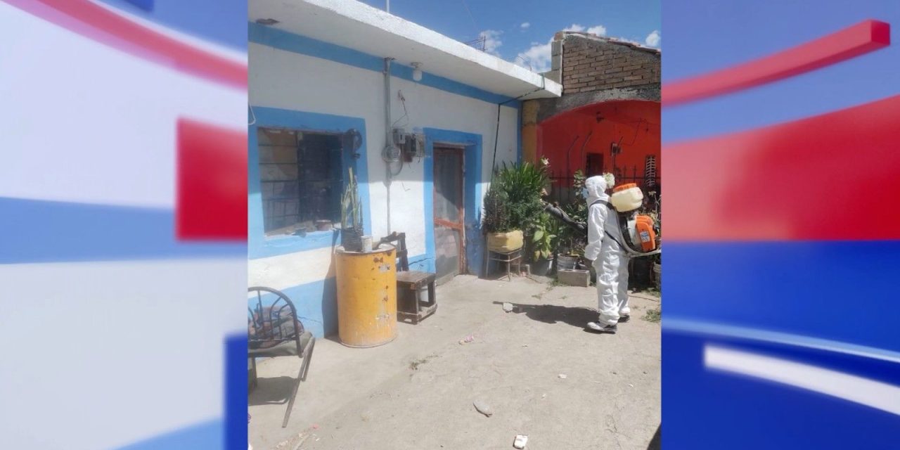 Combate Gobierno de Saltillo la Rickettsia como prioridad