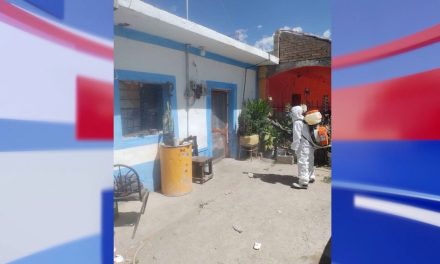 Combate Gobierno de Saltillo la Rickettsia como prioridad