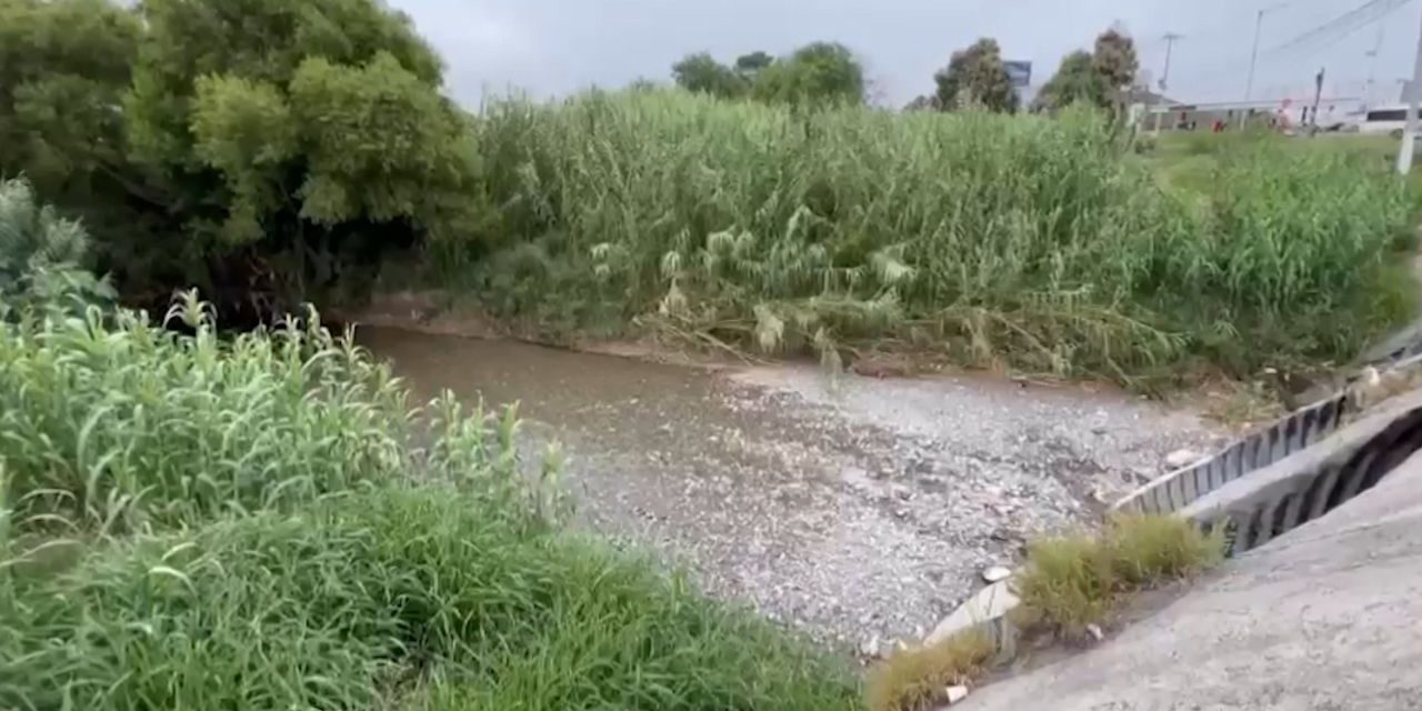 Suma Coahuila 384 casos de dengue en lo que va del año