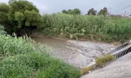 Suma Coahuila 384 casos de dengue en lo que va del año