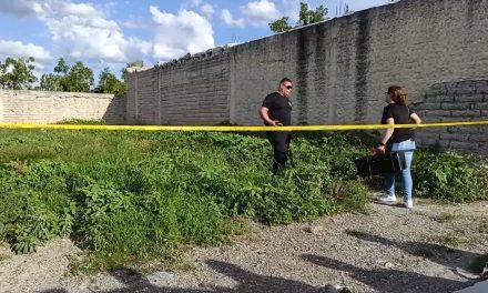 Encuentran a un adulto mayor sin vida dentro de un terreno en Parras