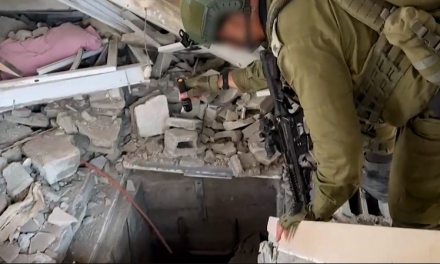 Reporta Israel que destruyó 50 túneles en la frontera entre Gaza y Egipto