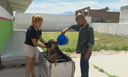 Ofrecen jornadas de salud y erradicación de garrapatas en los Centros Comunitarios del Municipio de Saltillo