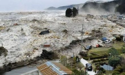 Tsunami golpea a Japón tras sismo de magnitud 7.1 y deja 9 heridos