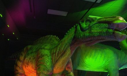 Cultura Coahuila invita a los museos del estado en estas vacaciones