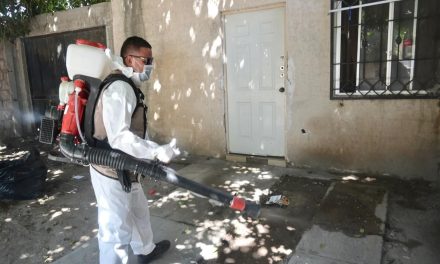 Mantienen acciones de combate contra el dengue en la región