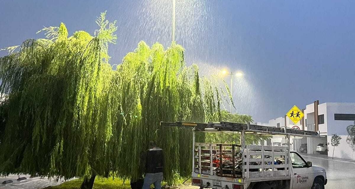 Servicios Públicos refuerza atención a luminarias del municipio