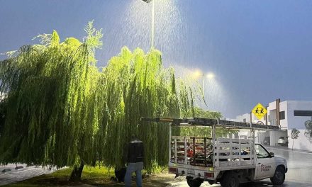 Servicios Públicos refuerza atención a luminarias del municipio