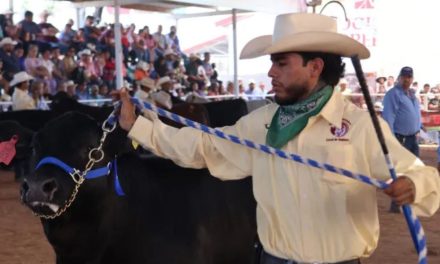 Realizan en Sabinas el Concurso del Becerro Gordo
