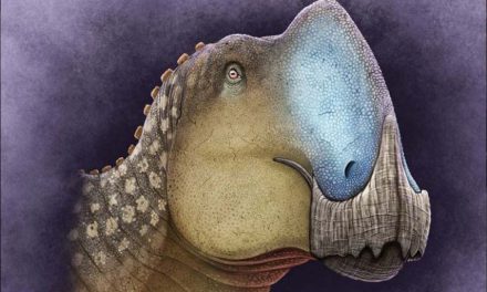 Descubren nueva especie de dinosaurio que habitó en Coahuila