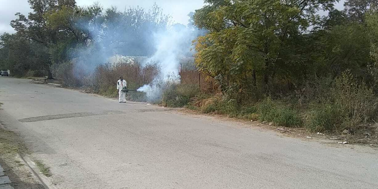 Refuerzan campaña de prevención del dengue en la región Fronteriza