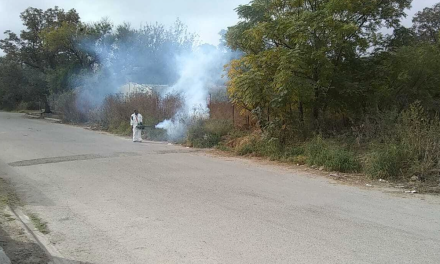 Refuerzan campaña de prevención del dengue en la región Fronteriza