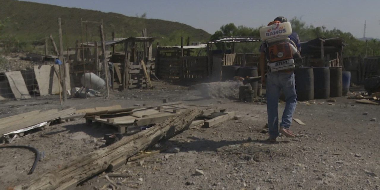Fumigan ejidos de Ramos Arizpe