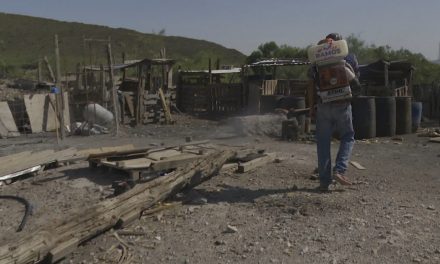 Fumigan ejidos de Ramos Arizpe