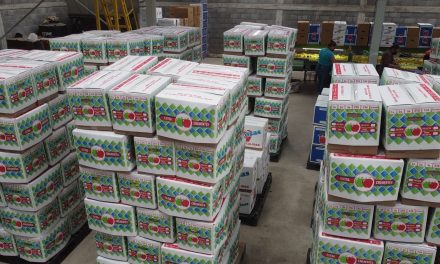 Habrá poca manzana en la sierra de Arteaga