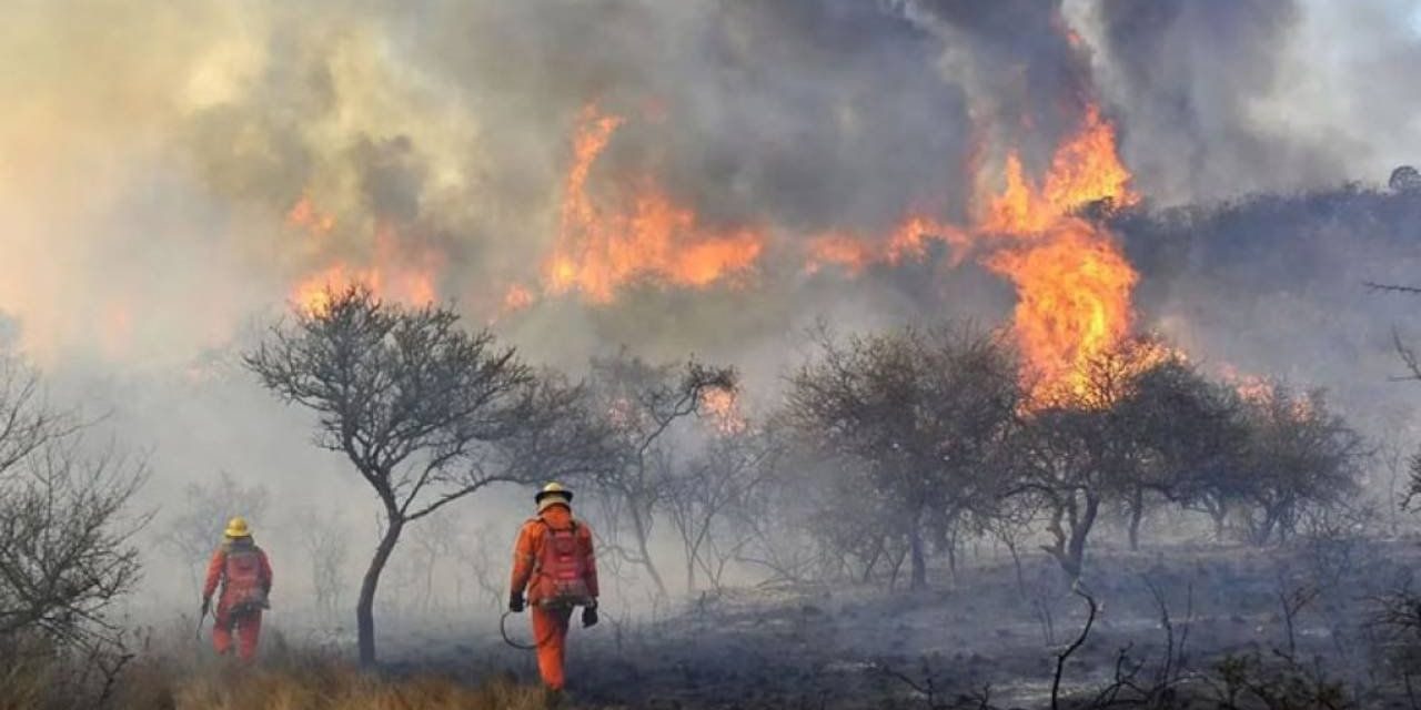 Incendios arrasan 7 mil hectáreas de bosque en Argentina