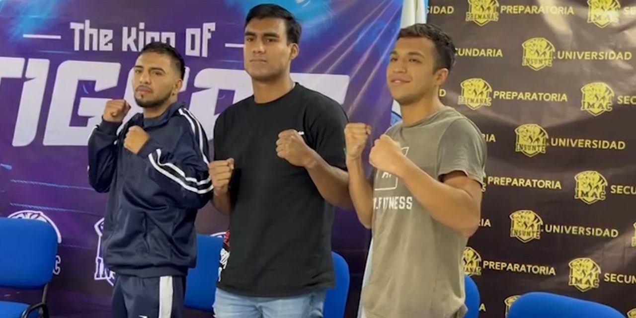 INSUNTE presenta el evento The King Of Tigers