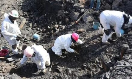 Hallan más restos óseos en ‘El Pinabete’