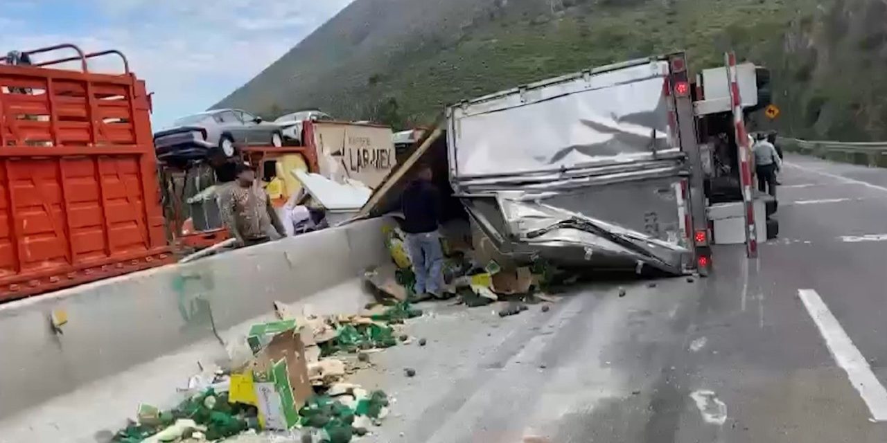 Riega el aguacate en la 57