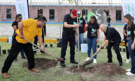 Inicia intensa campaña de reforestación en el municipio de Saltillo