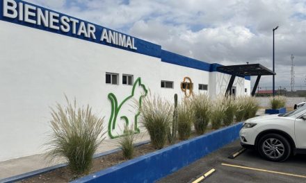 Destacan beneficios del Centro de Bienestar Animal
