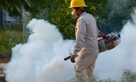 Forestación realiza labores de limpieza en escuelas de Monclova