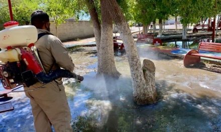 Departamento de Regulación Sanitaria combate al dengue en la Laguna