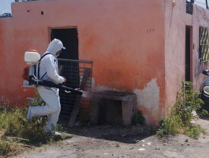 Llama Gobierno de Saltillo a prevenir el dengue