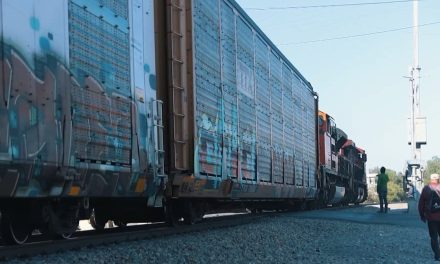 Saltillo: Cuidado con el tren… siguen las tragedias
