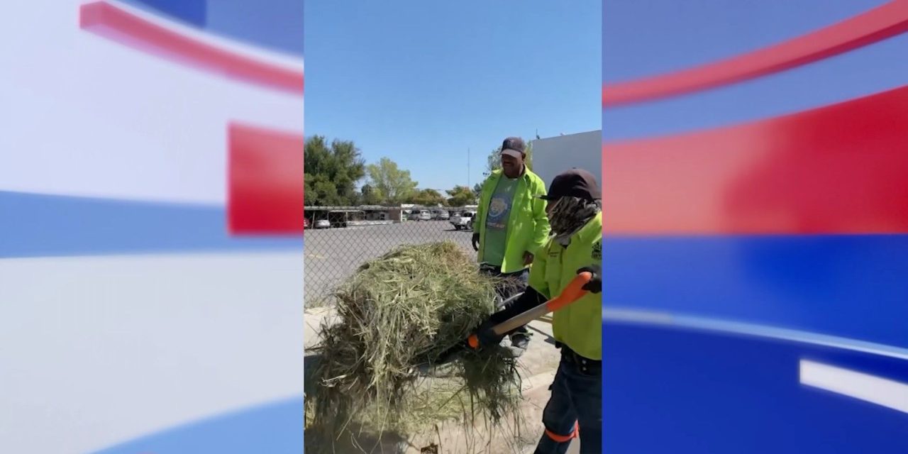 Embellece Municipio bulevares con 3ª etapa de Saltillo Me Gusta