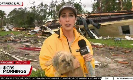 Reportera se vuelve viral tras rescatar a perrita durante el paso del huracán «Milton» en Florida